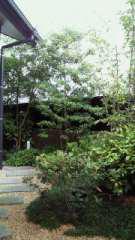 2011-08-20 ひと休み