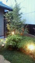 2011-08-21 大人の時間