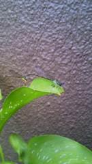 2011-08-27 心地よい～
