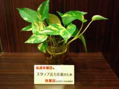 2011-10-20 休業日