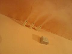2011-11-25 若返り