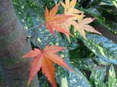 2011-12-28 今年最後の