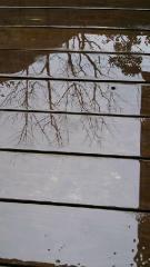 2012-02-13 しっとりと…。