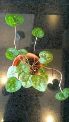 2012-02-21踊ってる？