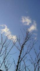 2012-02-27 出かけましょう♪