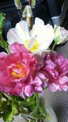 2012-03-10 何の花？