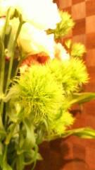 2012-04-10 このお花は？
