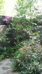 2012-04-24 ゴールデンウィーク
