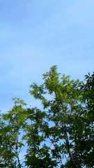 2012-04-29 ぶらりと…