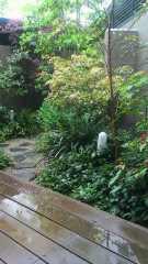 2012-05-25 雨の日は