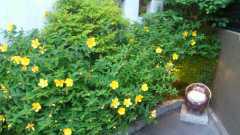 2012-06-06 心地よく