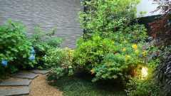 2012-06-12 雨に