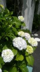 2012-06-23 岩盤浴でスッキリ！