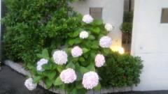 2012-07-04 こころが…。