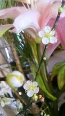 2013-01-06 寒さが…