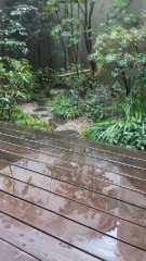 2013-02-18 雨の日には