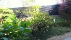 2013-05-12 お手入れ
