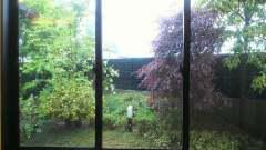 2013-05-19 ヨレムはいつも…