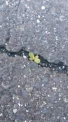 2013-05-20 わっ！