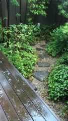 2013-06-15 雨ですね。