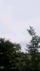 2013-07-14 久しぶりに