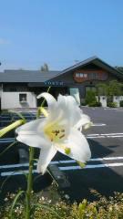 2013-08-15 ゆり