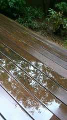 2013-08-30 雨の日だけに
