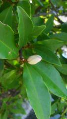 2013-09-25 またも…♪