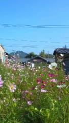2013-10-01 営業時間のお知らせ