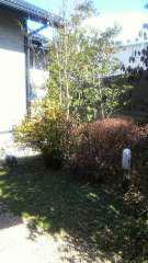 2014-02-15 良い天気です