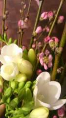 2014-03-01 春は～