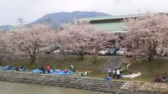 2014-04-06 桜を楽しんだ後は