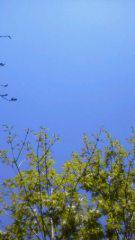 2014-04-14 晴々