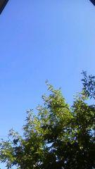 2014-07-25 爽やかな