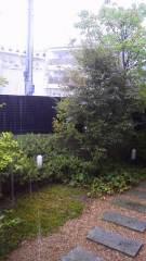 2014-08-02 雨の日は