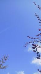2014-08-26 秋の
