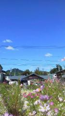 2014-09-26 風に乗って