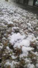 2015-03-10 雪が!?