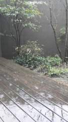 2015-03-18 こんな日は