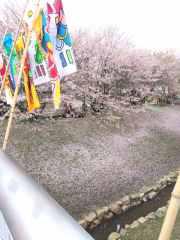 2015-04-05 楽しんだ後は