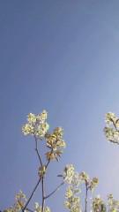 2016-04-16 青空