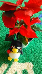 2021-12-26 Merry☆Christmas♪